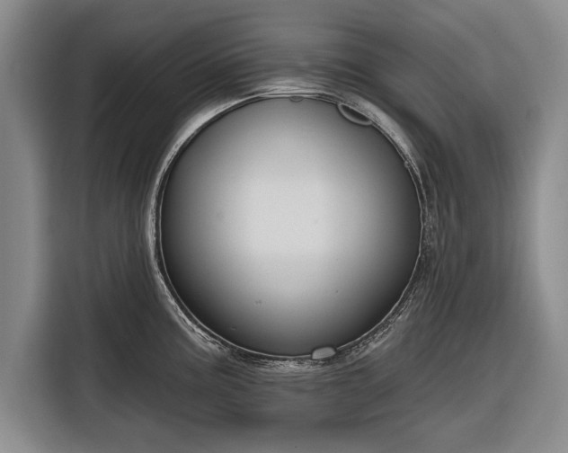 X0000116341195200912091103