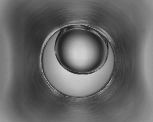 X0000116341196200912091103