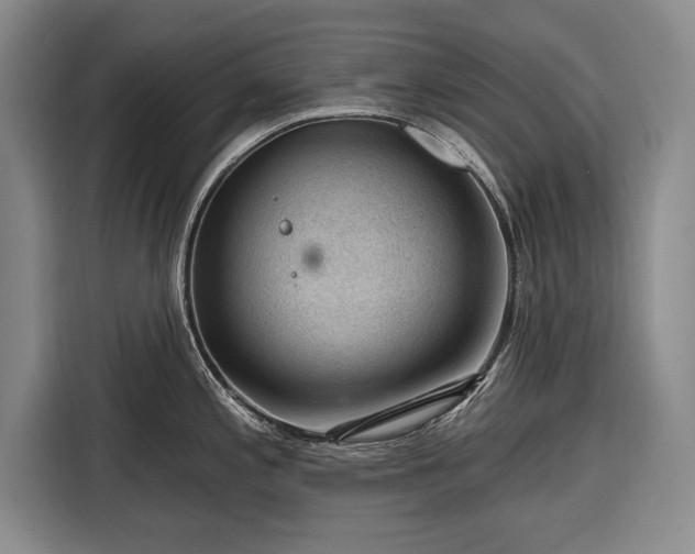 X0000116341197200912091103