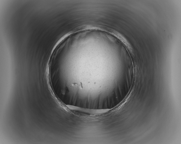 X0000116341198200912091103