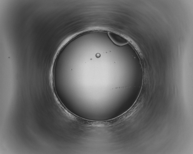 X0000116341199200912091103