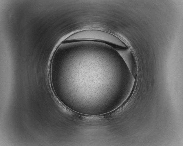 X0000116341200200912091103