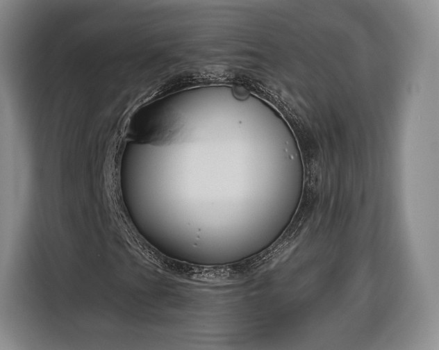 X0000116341201200912091103