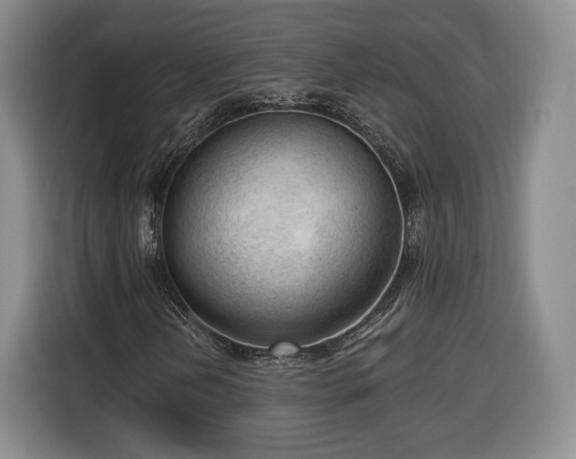 X0000116341202200912091103