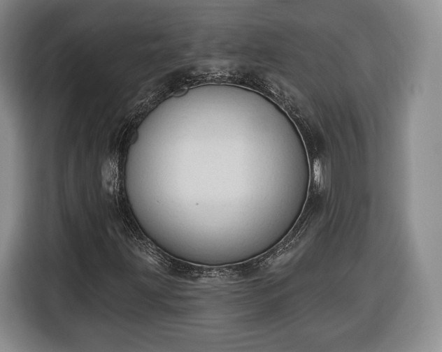 X0000116341203200912091103