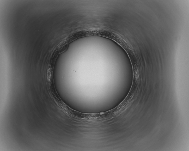 X0000116341204200912091103