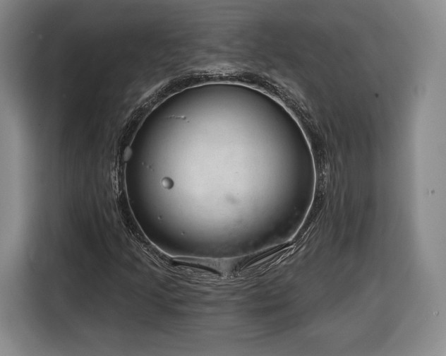 X0000116341205200912091103