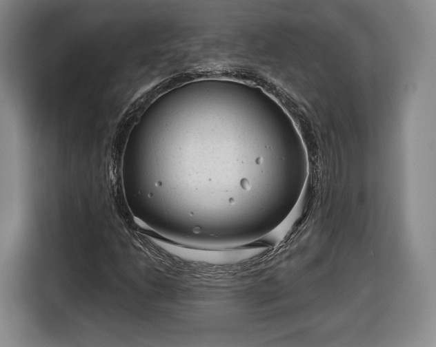 X0000116341206200912091103