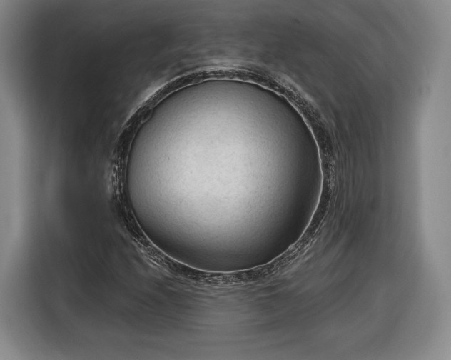 X0000116341208200912091103