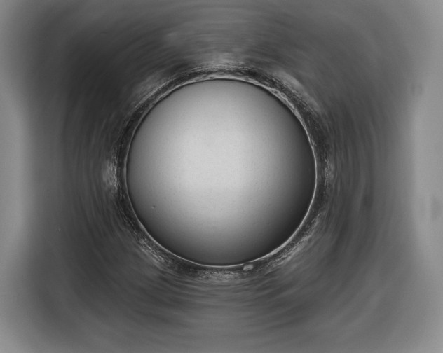 X0000116341209200912091103