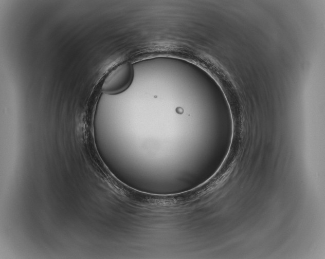 X0000116341210200912091103