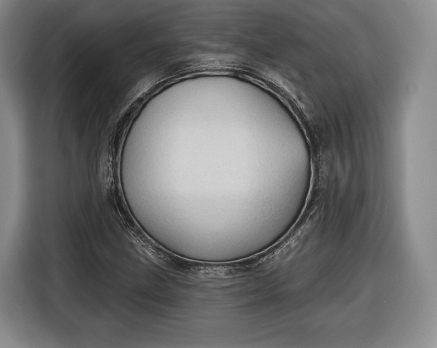 X0000116341211200912091103