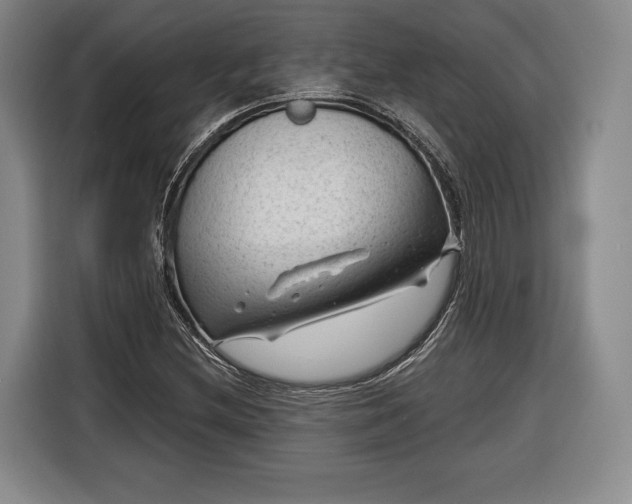 X0000116341212200912091103