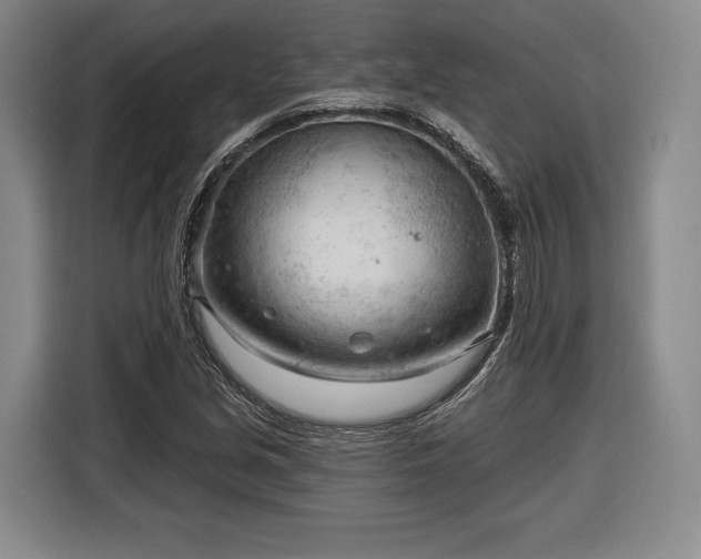 X0000116341213200912091103