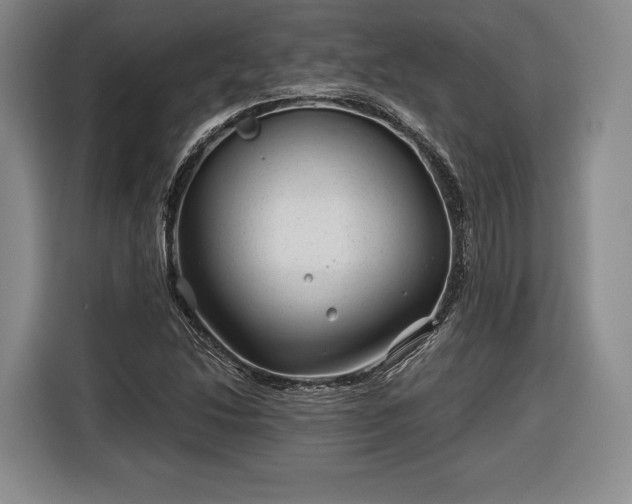 X0000116341214200912091103