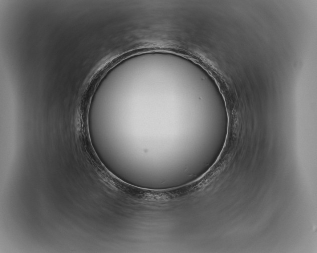 X0000116341215200912091103