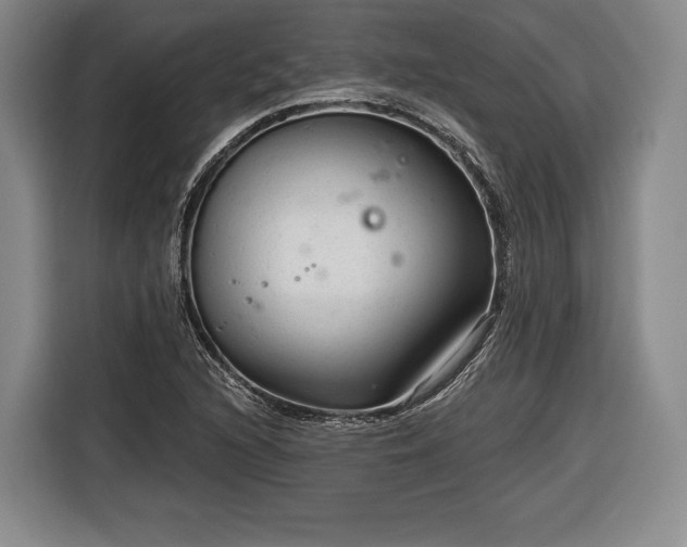 X0000116341216200912091103