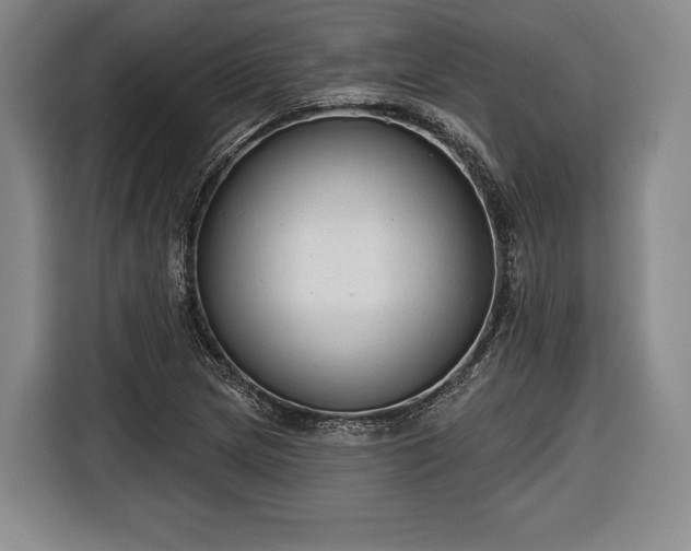 X0000116341217200912091103