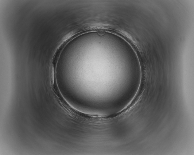 X0000116341219200912091103