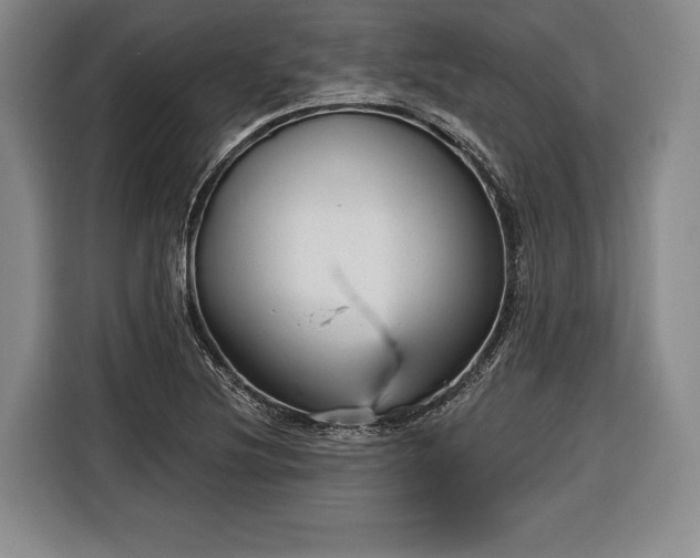 X0000116341220200912091103