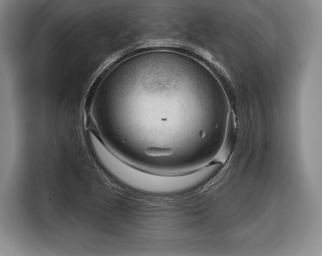 X0000116341221200912091103