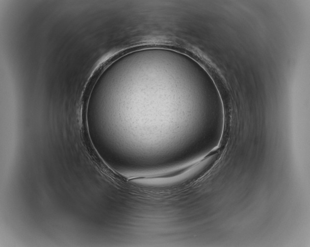 X0000116341222200912091103