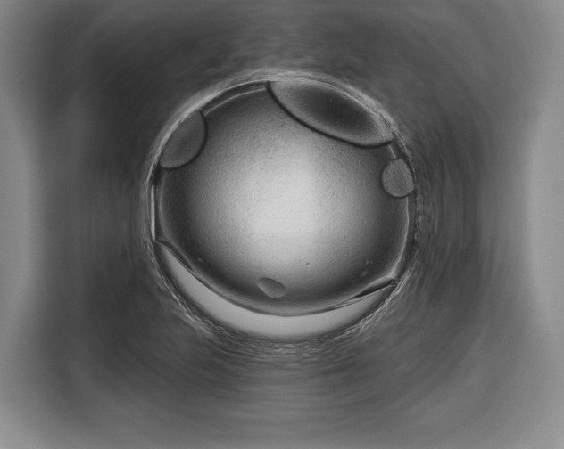 X0000116341223200912091103