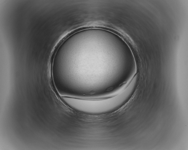 X0000116341224200912091103