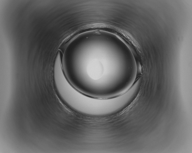 X0000116341225200912091103