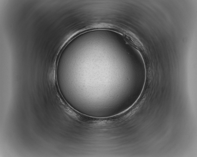 X0000116341228200912091103