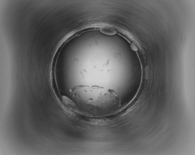 X0000116341229200912091103