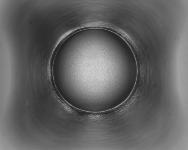 X0000116341230200912091103