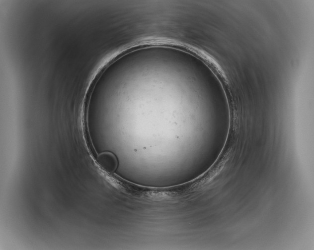 X0000116341231200912091103