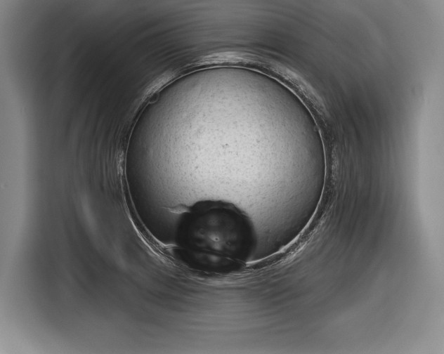 X0000116341233200912091103