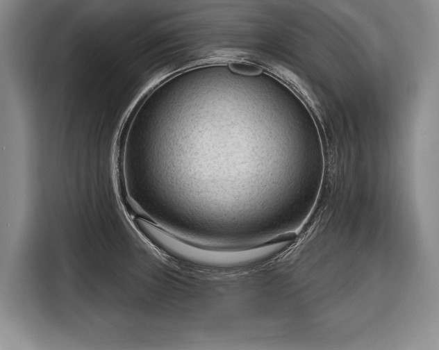 X0000116341235200912091103