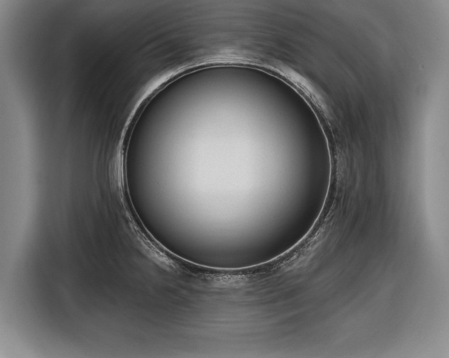 X0000116341238200912091103