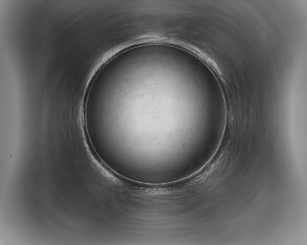 X0000116341239200912091103