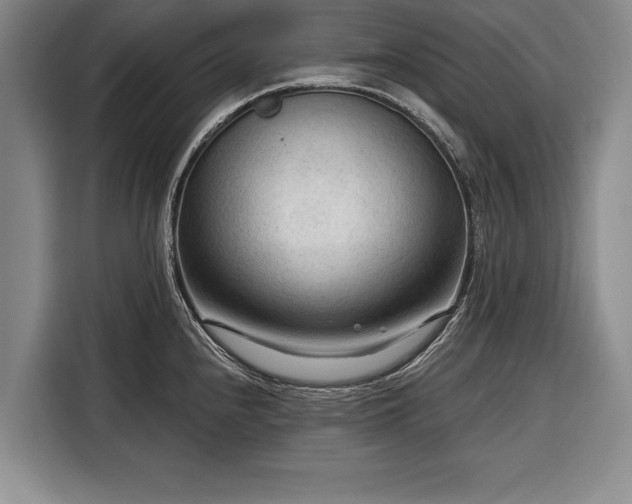 X0000116341240200912091103