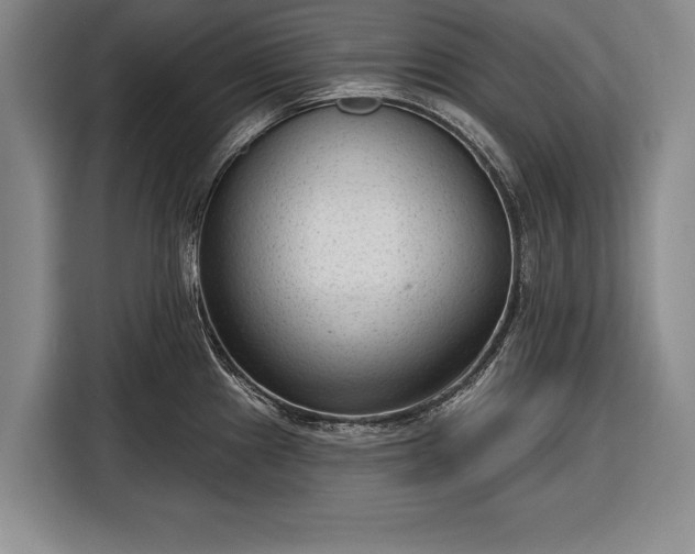 X0000116341241200912091103