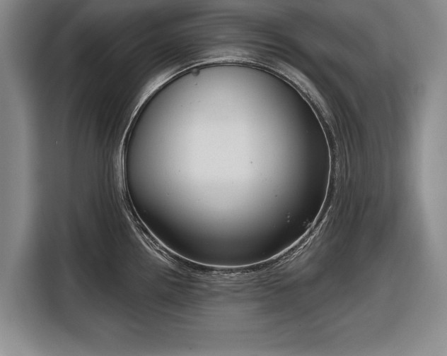 X0000116341242200912091103