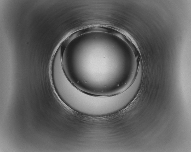 X0000116341243200912091103