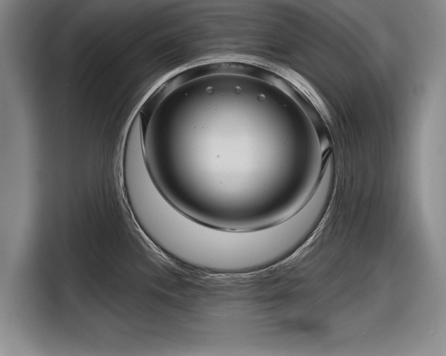 X0000116341244200912091103