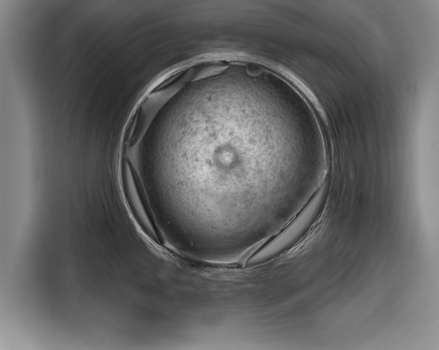 X0000116341245200912091103