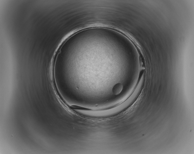 X0000116341246200912091103