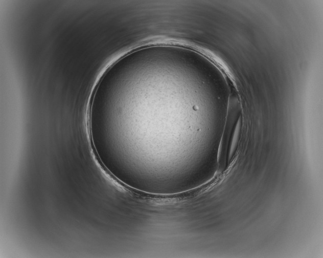 X0000116341247200912091103