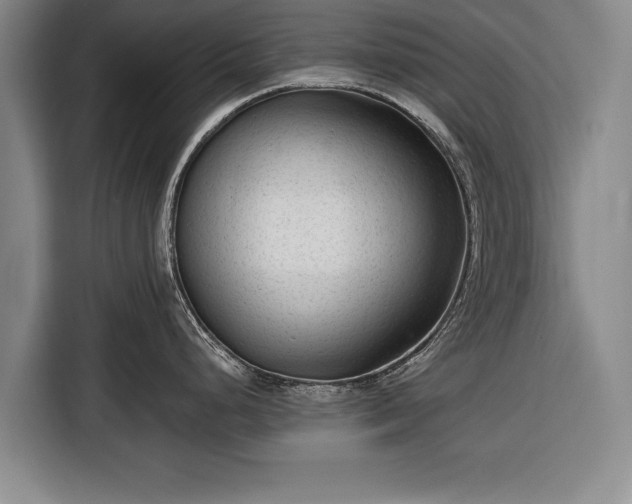 X0000116341248200912091103