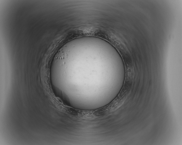 X0000116341249200912091103