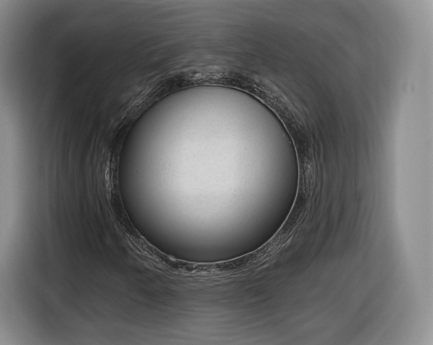 X0000116341250200912091102