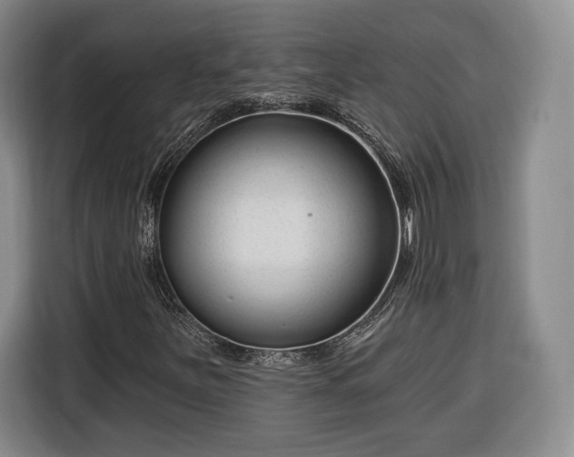 X0000116341251200912091102