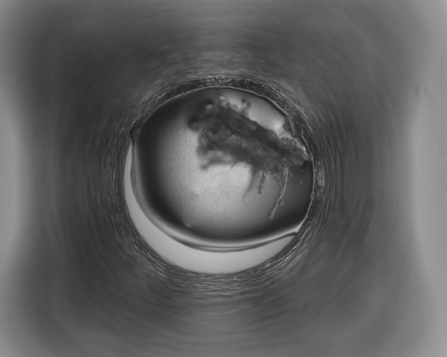 X0000116341252200912091102